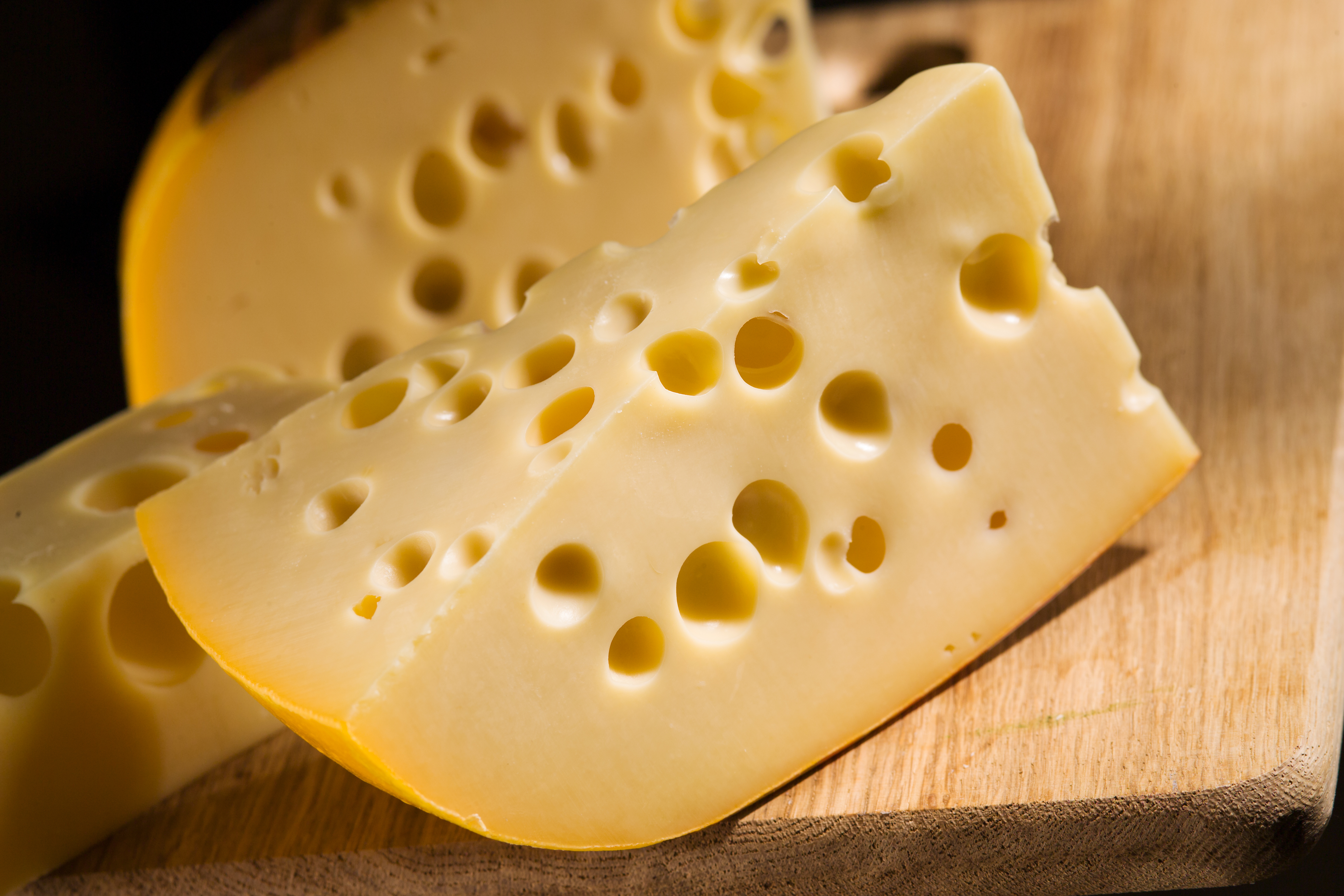 P. Shermanii: The Reason Swiss Cheese Has Holes | Science 2.0 Europe